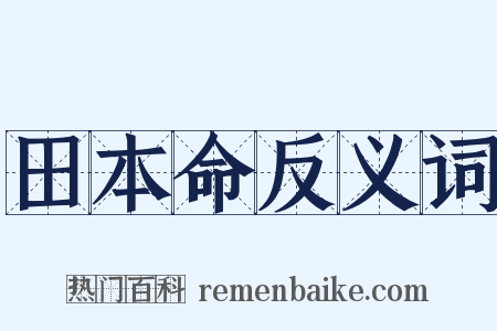 田本命反义词是什么意思的图片